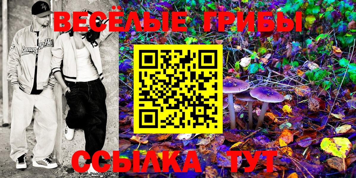 Учалы  Псилоцибиновые грибы Psilocybe  Вход с VPN 