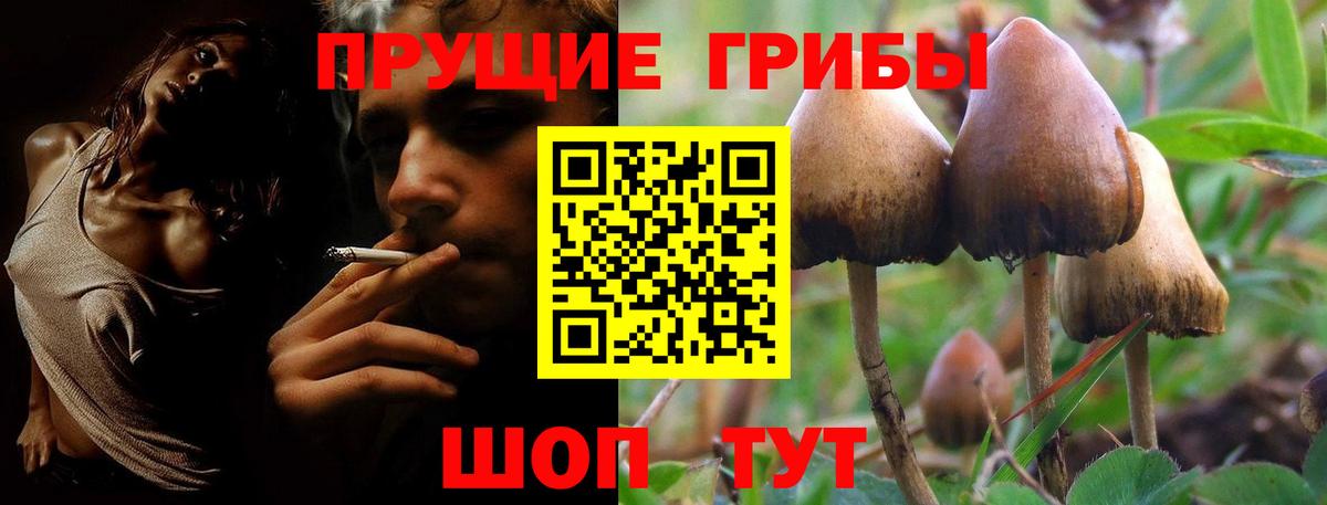 Галлюциногенные грибы ЛСД Учалы